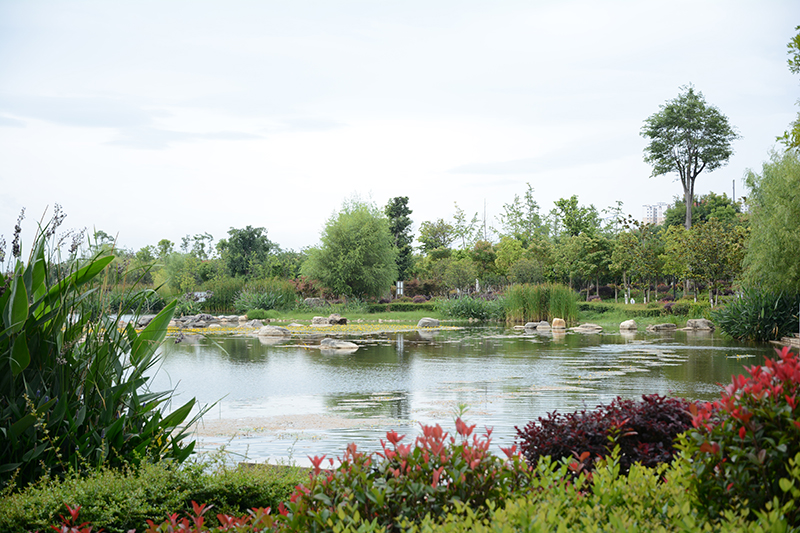 芒市水上公園-景觀施工